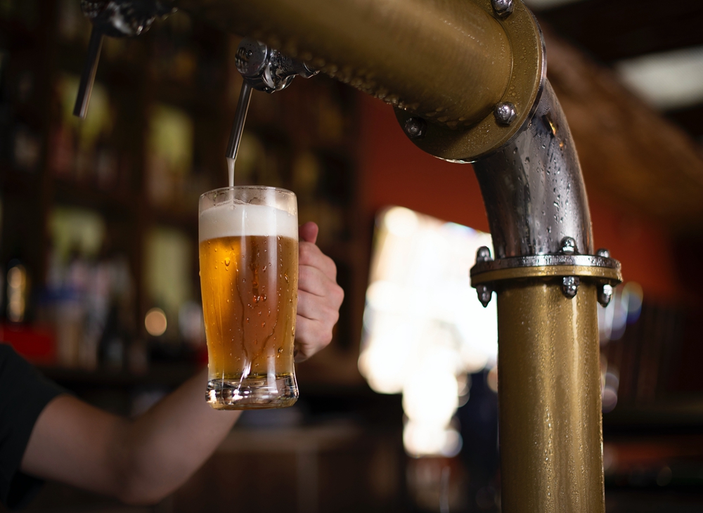 What is the difference between ale fermentation and lager fermentation?